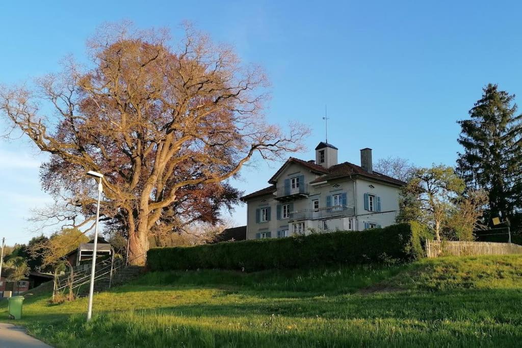 Seesicht Und Charmante Wohnung Bei Hanni Und Ueli Bottighofen Bagian luar foto
